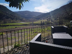 Au coeur des vignes, entre montagnes et rivière